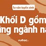 Các Ngành Học Dành Cho Khối D