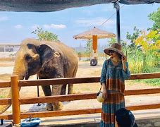 Công Viên Động Vật Hoang Dã Flc Zoo Safari Park