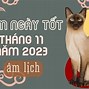 Lịch Vạn Niên 2023 Tháng 11