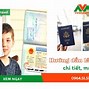 Người Việt Làm Gì Tại Mỹ Không Cần Visa Vào