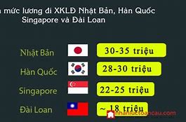 Xkld Mỹ 2022 Lương Tháng Bao Nhiêu Tiền Việt Nam Mới Nhất Hiện Nay